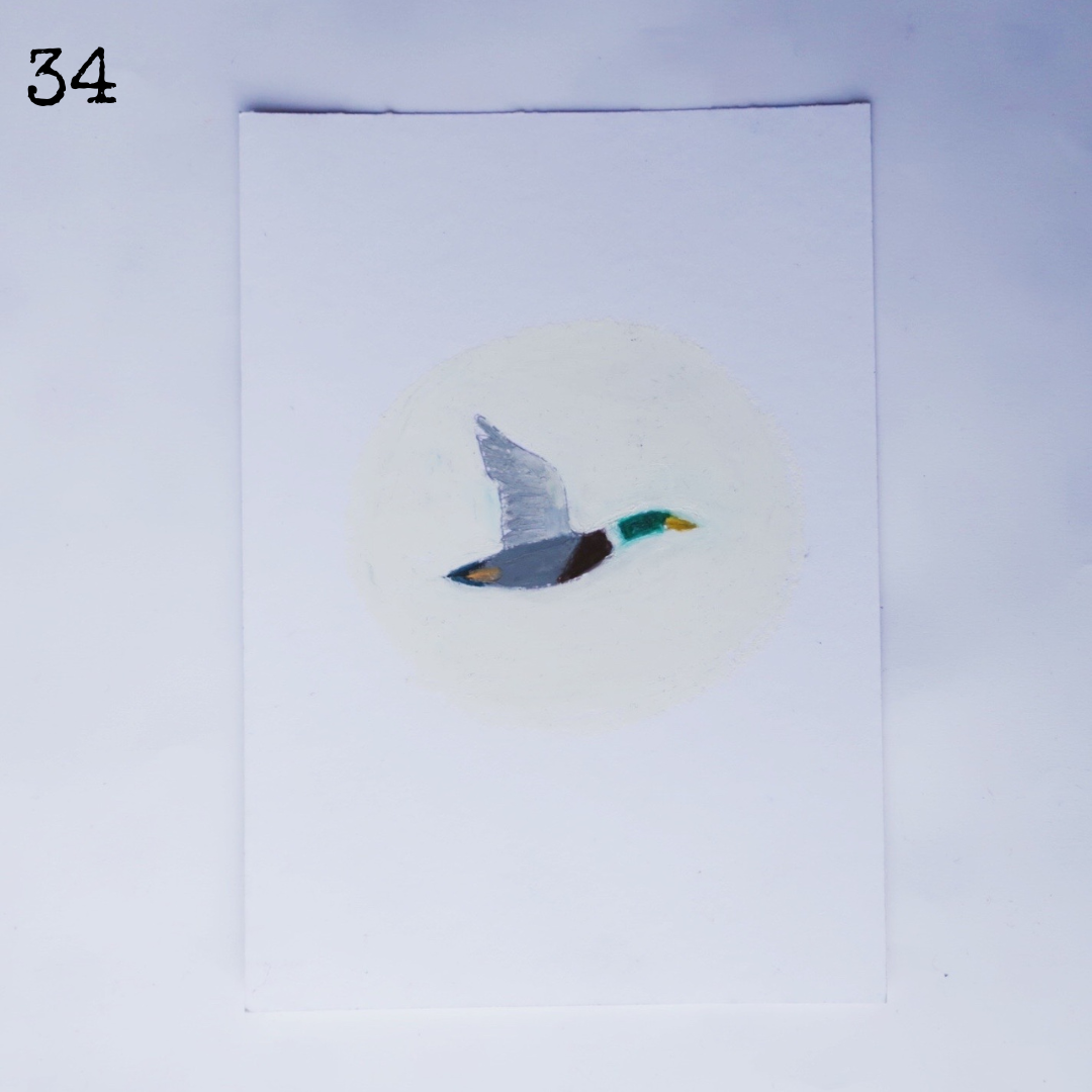 34