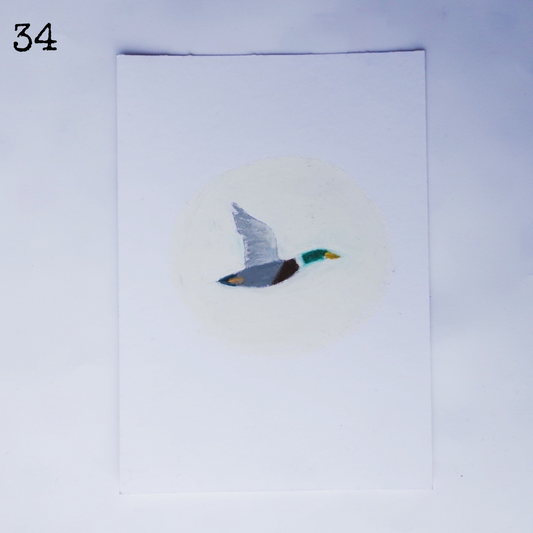 34